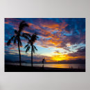 Search for palm tree posters Landscape