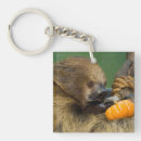 Search for sloth image key rings Sloths