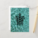 Search for sea turtle postcards Tortoise