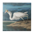 Search for heron tiles John james audubon