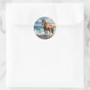 Search for chestnut horse stickers Brown