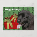 Search for newfoundland dog christmas cards Cute