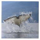 Search for canada tiles Wildlife