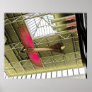 Search for air plane posters Fly