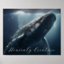 Search for humpback whale posters Animal