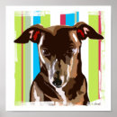 Search for whippet dog posters Italian