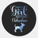Search for dog owner stickers Chihuahua lover
