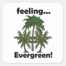 Search for palm tree stickers Funny