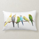 Search for parakeet cushions Green