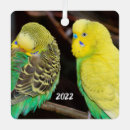 Search for budgie christmas tree decorations Parrot