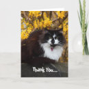 Search for fur cards Kittens