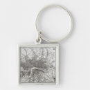 Search for environment key rings View