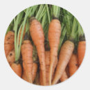 Search for carrot stickers Fresh