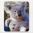 Search for koala bear mousepads Marsupial