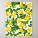 Search for lemon tree posters Branch