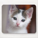 Search for white cat mousepads Baby animals