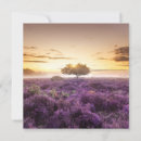 Search for heather cards Purple