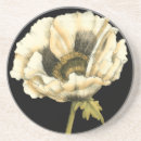 Search for poppies coasters Floral