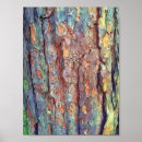 Search for tree bark art Texture