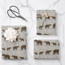 Search for rodent wrapping paper Capybara