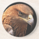 Search for isolated coasters Black