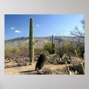 Search for sonoran posters Cactus