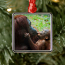 Search for orangutan christmas tree decorations Monkey