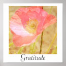 Search for iceland poppies posters Nature