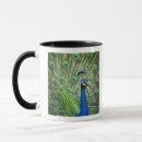 Search for peafowl mugs Animals
