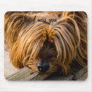 Search for relationship mousepads Dog