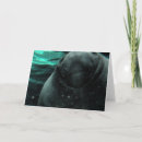 Search for manatee cards Florida