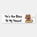 Search for dog owner bumper stickers Animals