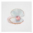 Search for clam shells posters Marine