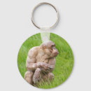 Search for chimp monkey key rings Chimpanzee