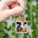 Search for holstein cow key rings Rural scene