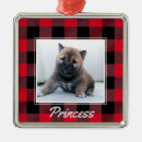 Search for buffalo christmas tree decorations Dog