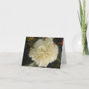 Search for carnations cards White