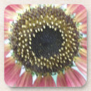 Search for sunflower cork coasters Flowers