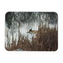 Search for winter solstice seasonal cards Wildlife