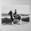 Search for pinto posters Pony