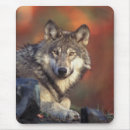 Search for wolf mousepads Wild animals