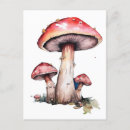 Search for alices postcards Fairytales