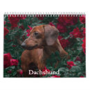 Search for dachshund office supplies Canine