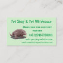 Search for dragon business cards Lizard