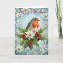 Search for winter robin christmas cards Holly