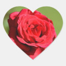 Search for stationary seals stickers Rose