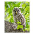 Search for leafy posters Wildlife