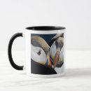 Search for seabird mugs Pelagic