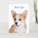 Search for pembroke welsh corgi thank you cards Thanks