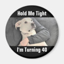 Search for turning magnets Humour